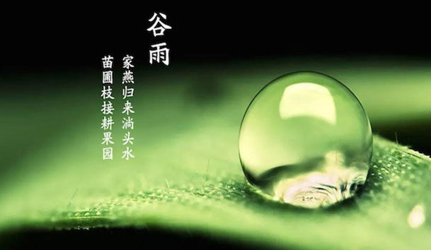 谷雨，春季的最后一個節(jié)氣