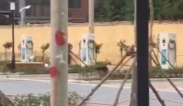 駐馬店市公共停車場(chǎng)充電站80kW雙槍直流充電樁項(xiàng)目案例